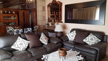 TV, fireplace, books, music library