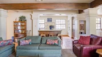 Smart TV, chimenea, reproductor de DVD y libros