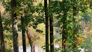 A wooden deck with a view of a lake surrounded by trees. - Quiet country setting awaits you! (Munnsville)