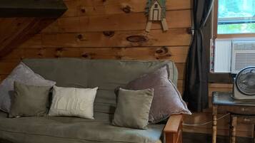 TV, fireplace, DVD player