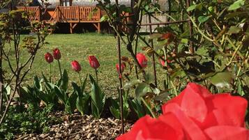 DĂ©tail de lâextĂ©rieur