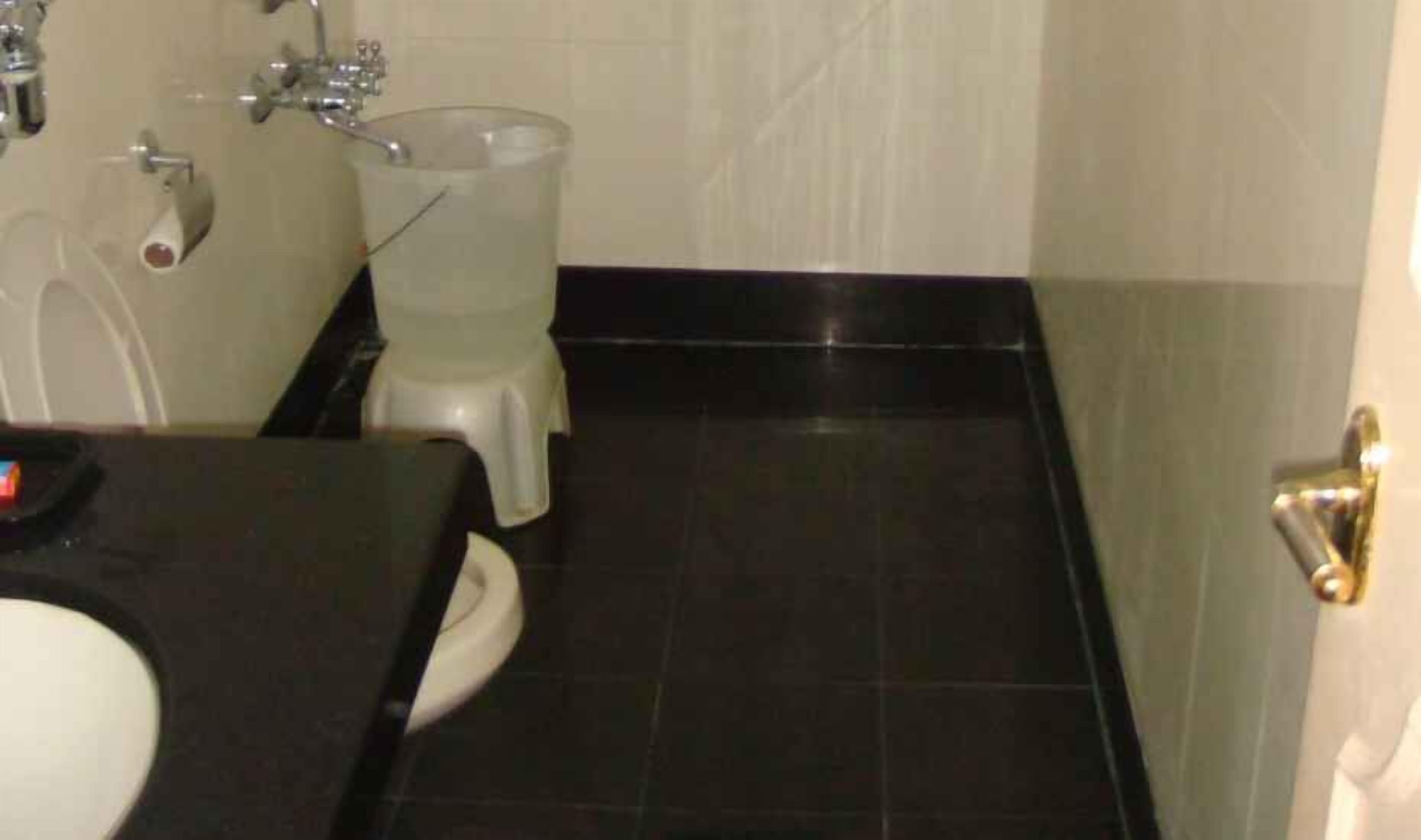 Deluxe Room | Bathroom | Shower