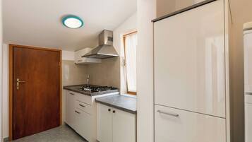 Fridge, stovetop, cookware/dishes/utensils