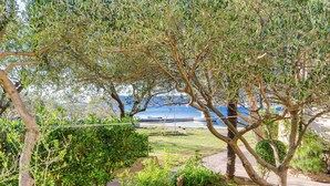 A coastal landscape with trees and a view of the sea. - Apartments Darko (Supetarska Draga)