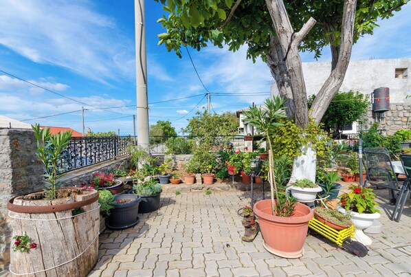 Courtyard - Apartment Josip (Senj)