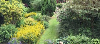 Cwm Irfon Lodge Cottages