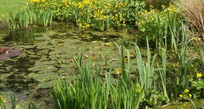 Cwm Irfon Lodge Cottages