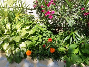 Front of property - Villa Flora (Tbilisi)