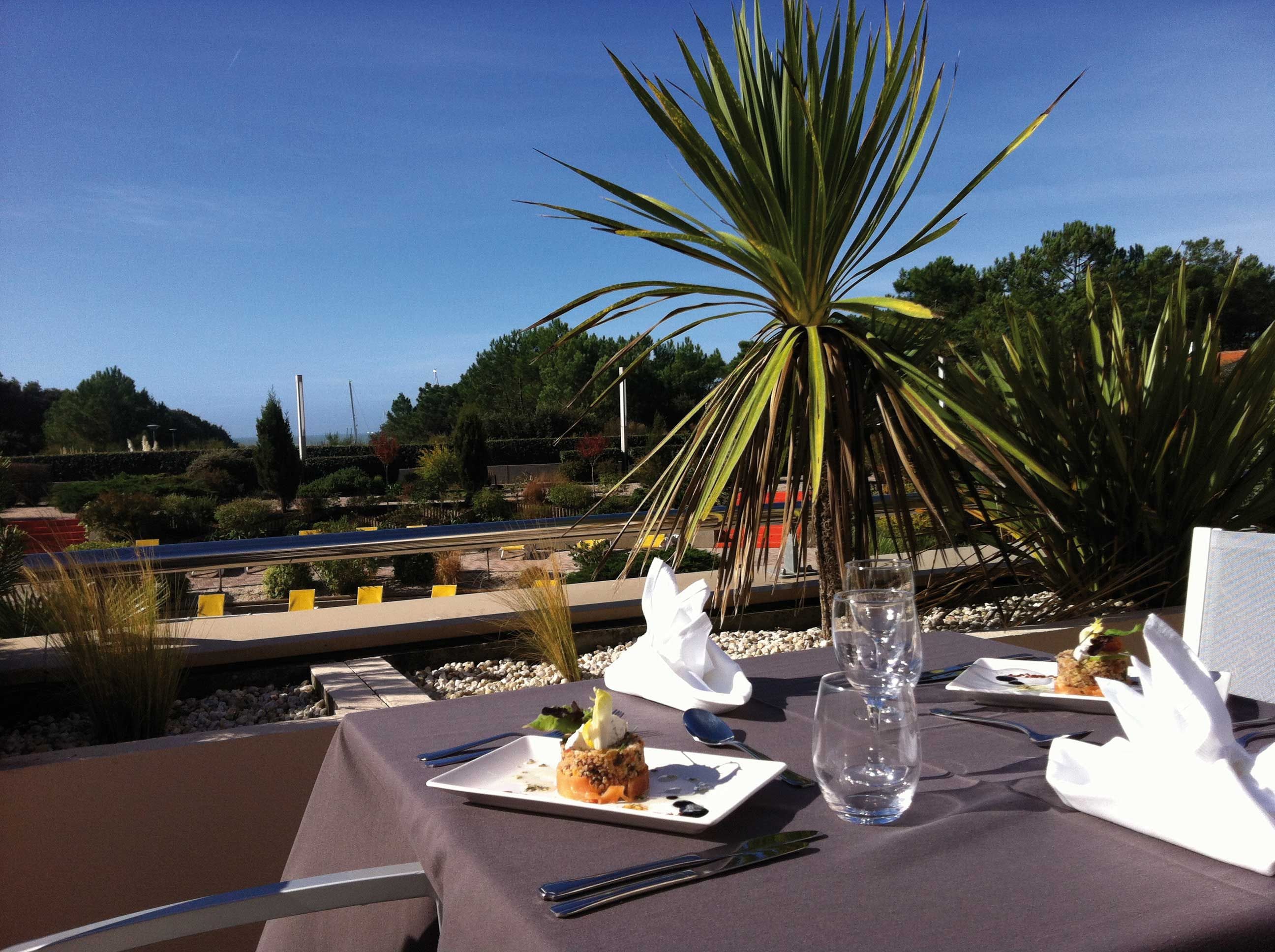 An outdoor dining table with a clear view of the surrounding landscape, including a palm tree and distant trees.