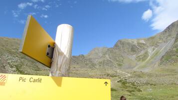Un cartello giallo con una freccia rivolta verso l'alto che indica un sentiero.