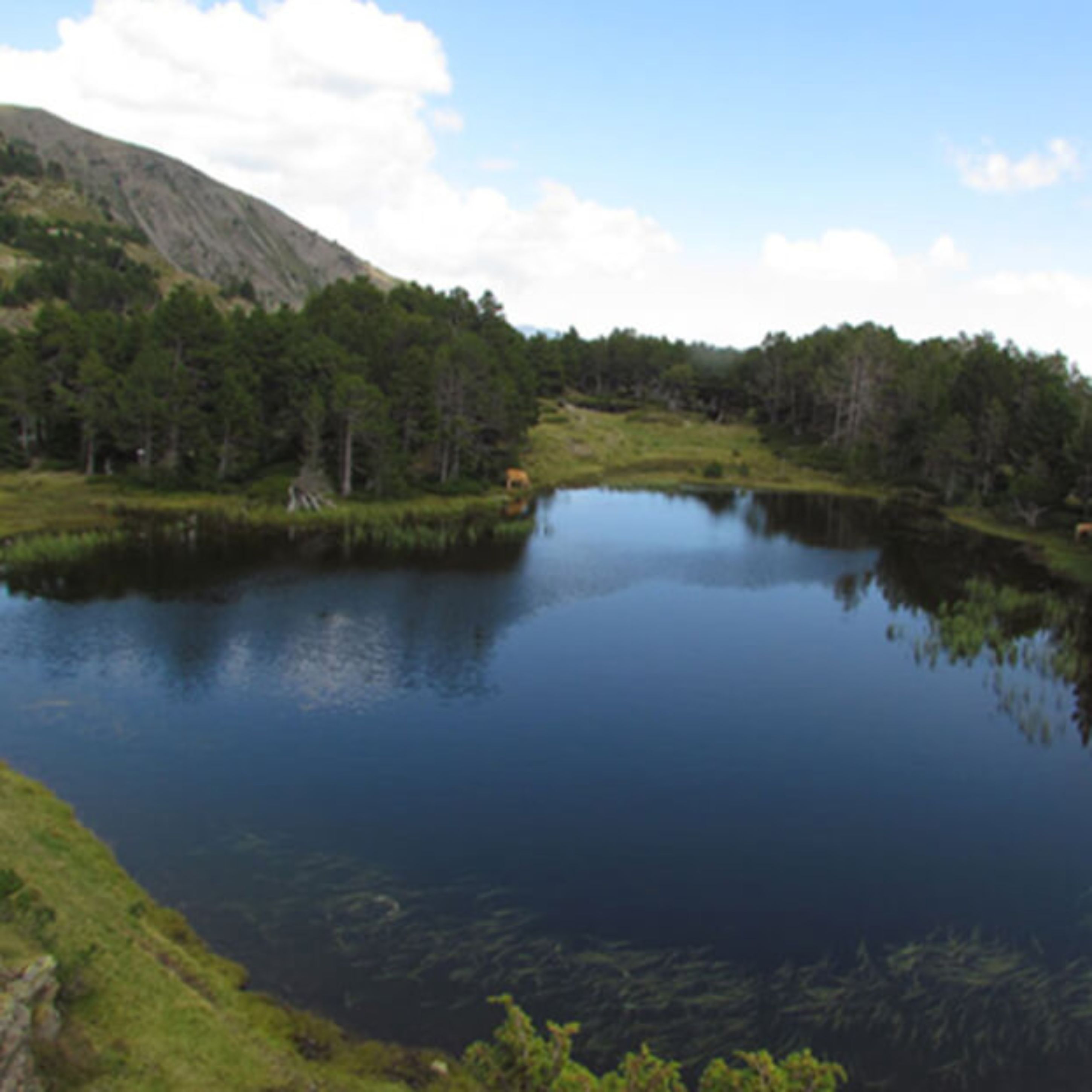 A tranquil lake surrounded by dense forest and a mountain in the background.