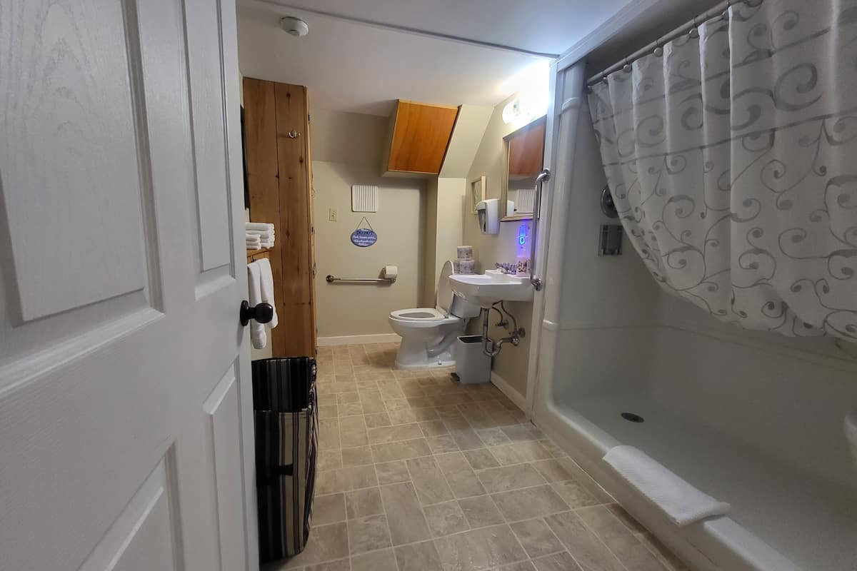 towels, soap, shampoo, toilet paper