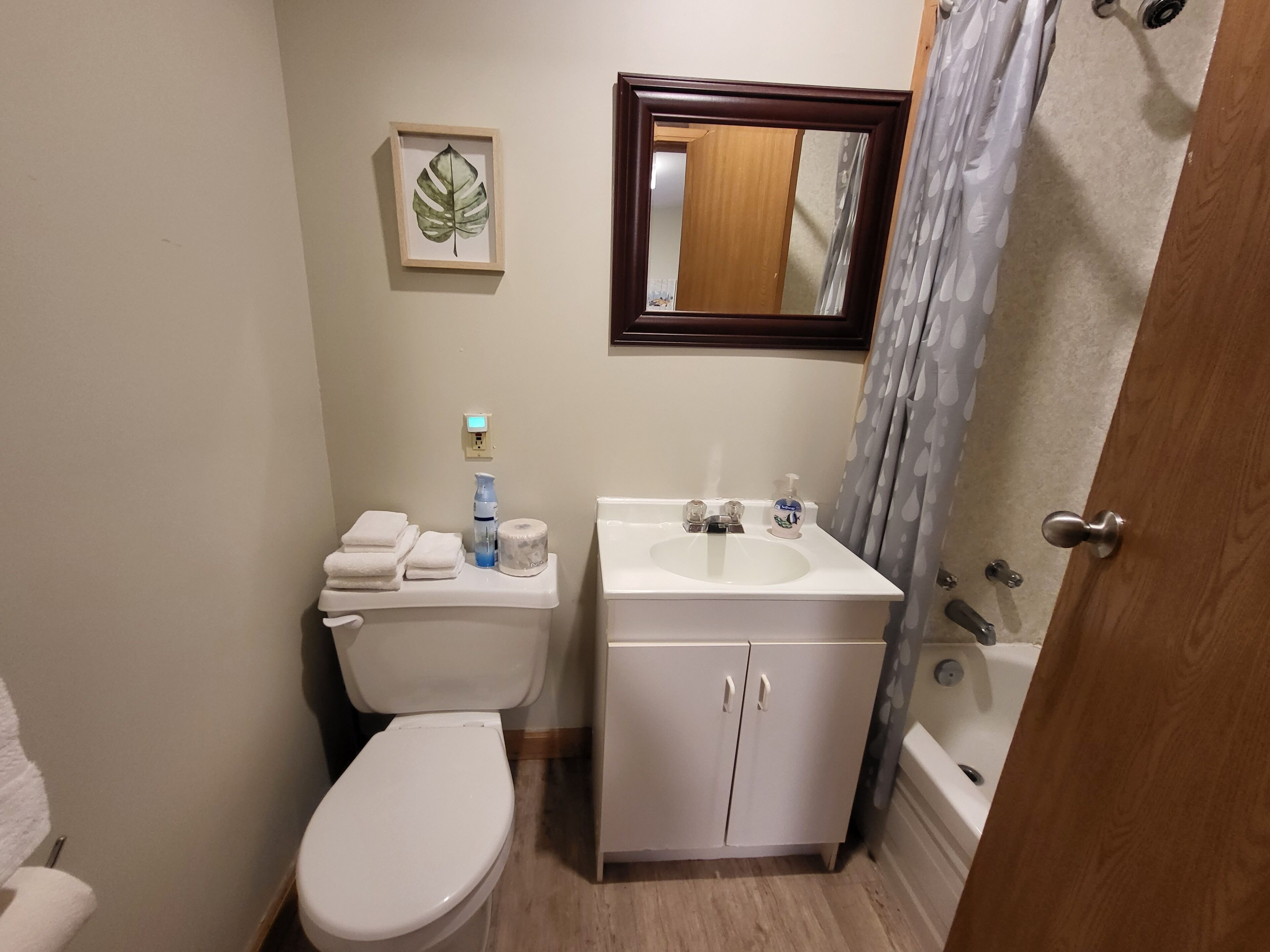 A compact bathroom with a toilet, sink, and shower. A framed leaf artwork is on the wall, and a mirror is above the sink.