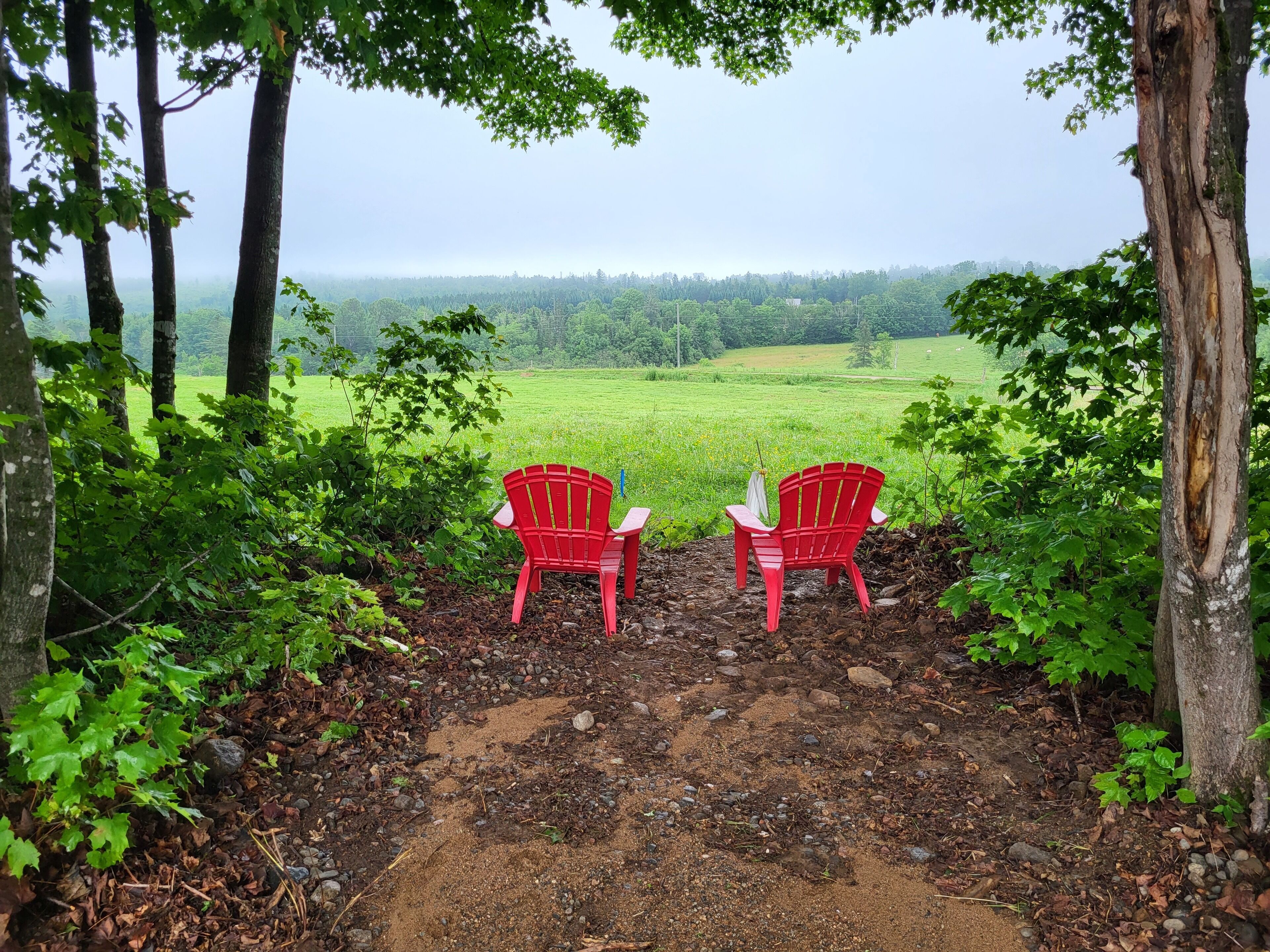 Two red chairs facing a lush green field with trees in the background.
