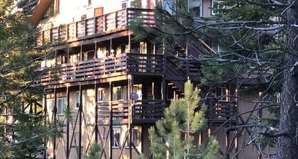 NICELY REMODELED TRANQUIL MOUNTAIN VIEW CONDO, SKI TO LIFTS.