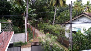 A residential area with a gated entrance, a pathway, and lush greenery including banana trees and palm trees. - Senuri Home stay (Polonnaruwa)