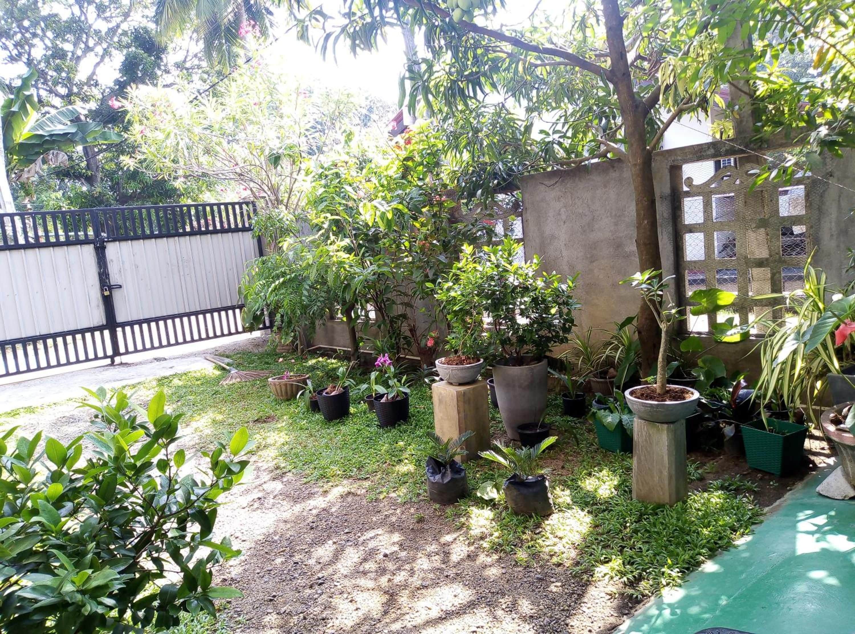 Un jardín con diferentes plantas en macetas y un muro de hormigón.