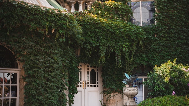Un bâtiment avec un chemin pavé de pierres claires menant à une porte blanche, le tout entouré d’une végétation luxuriante et de lierre.