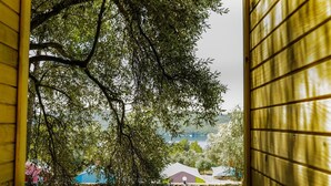 A view through a yellow-framed window with a tree and a lamp post outside.