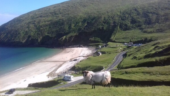 Un paisaje costero con playa, camino y colina con una vaca.