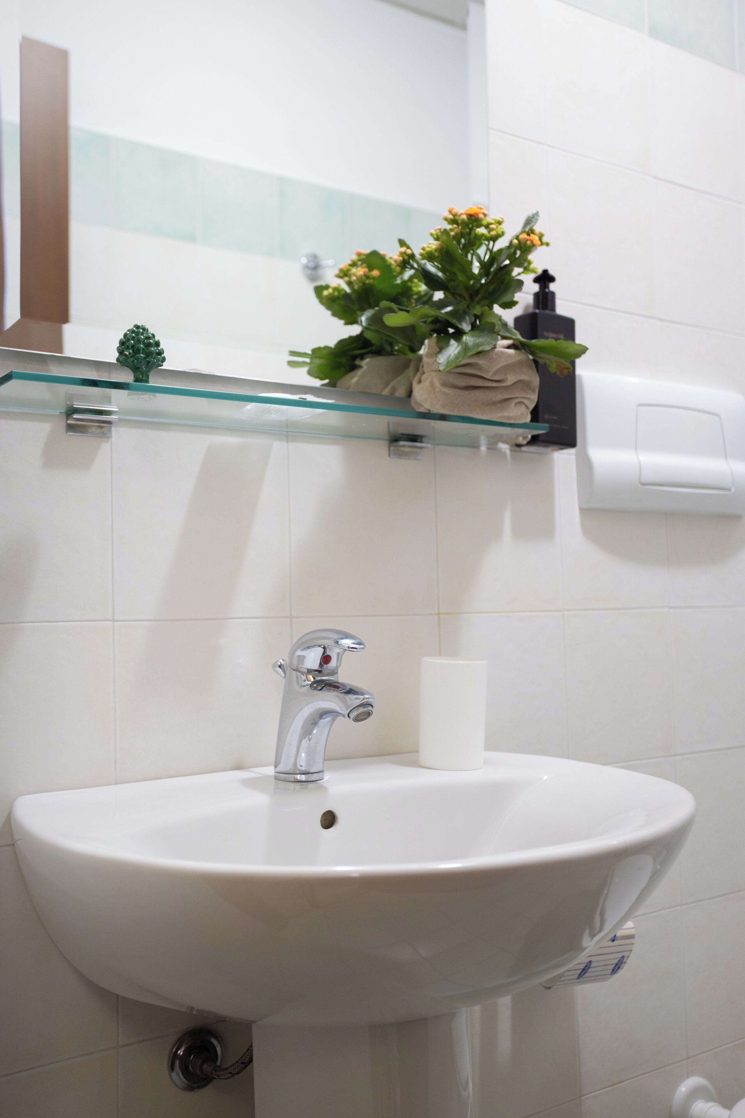 A bathroom with a white sink, a glass shelf with toiletries, and a small plant.