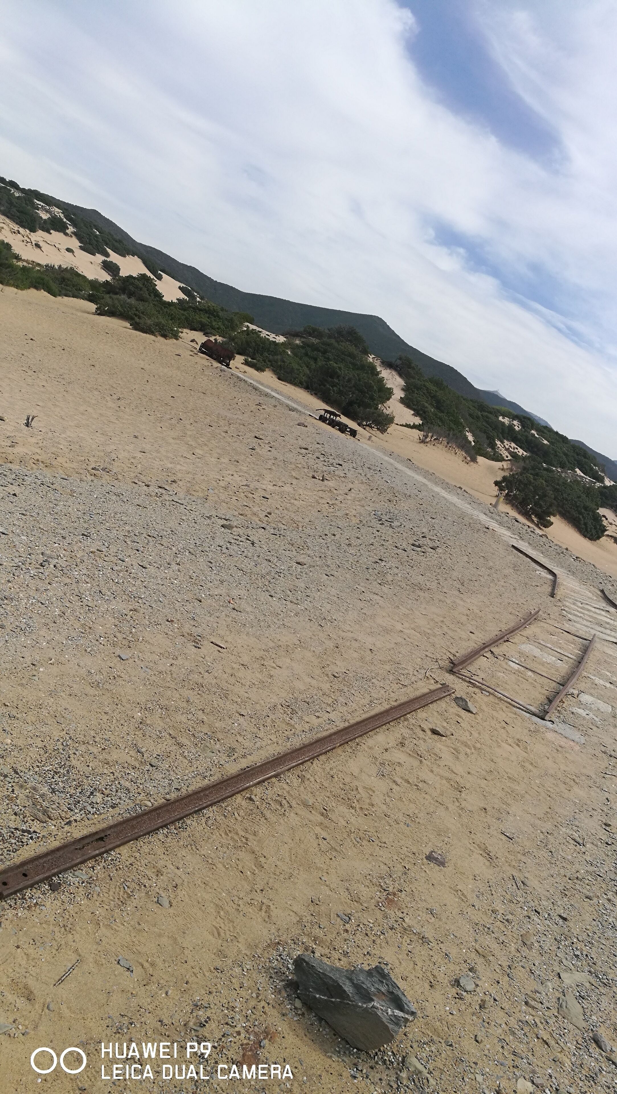 Paesaggio desertico con binari ferroviari e vegetazione rada.