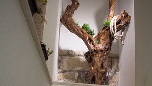 Staircase - La Casa Di Pinocchio (Enna)