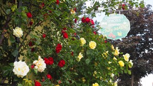 花園