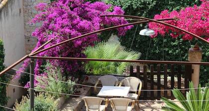 Finca Son Vivot