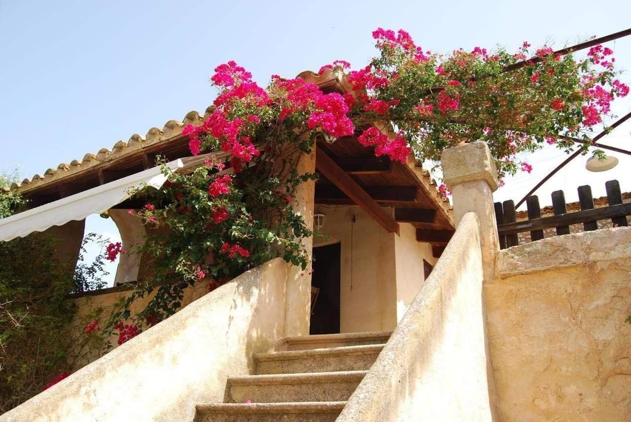 Photo - Finca Son Vivot