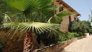 Ein Steinhaus mit einer Palme davor.