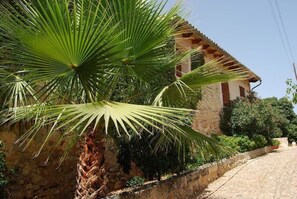 Exterior - Finca Son Vivot (Inca)