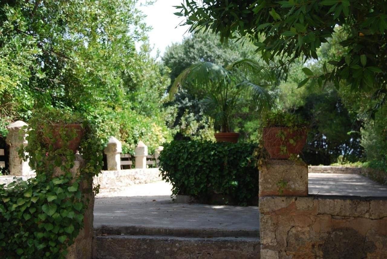 Photo - Finca Son Vivot