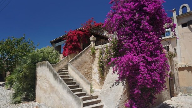Eine Steintreppe führt zu einem Gebäude, das mit leuchtend violetten Bougainvilleen bewachsen ist.