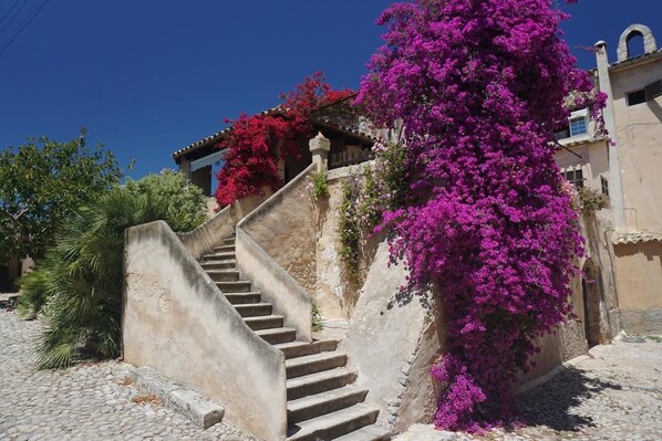 Exterior - Finca Son Vivot (Inca)