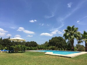 A swimming pool with a grassy area, lounge chairs, and a palm tree. - Finca Son Vivot (Inca)