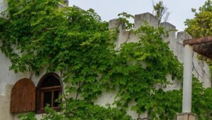 Um edifício com paredes cobertas de hera e uma pequena janela.