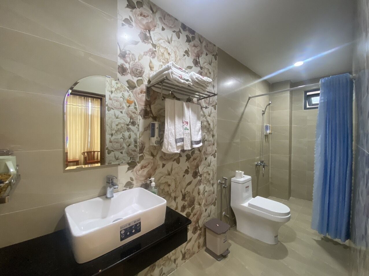 Une salle de bain avec un lavabo, des toilettes et une douche.