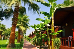 Khuôn viên nơi lưu trú