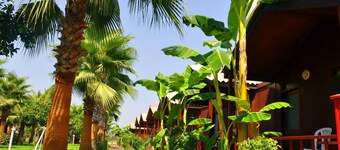 Dream Park Bungalows Hotel
