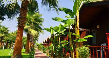 Dream Park Bungalows Hotel