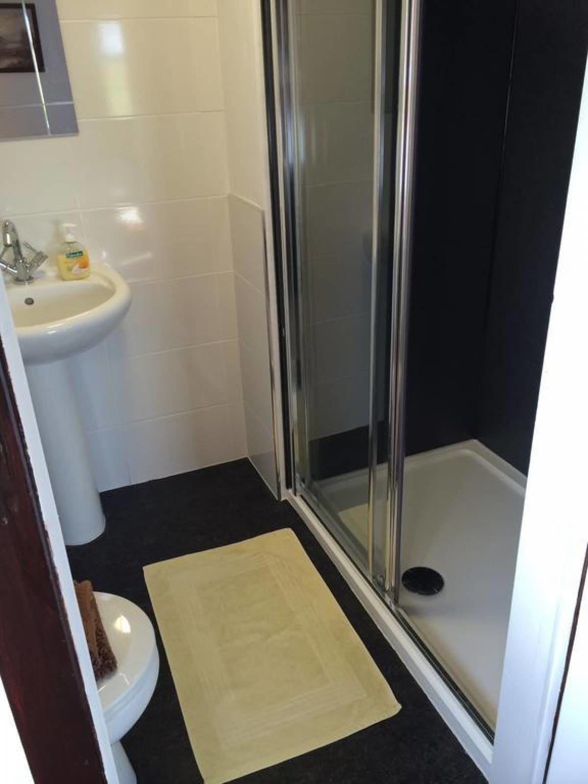 Regadera, amenidades de baño gratuitas, secadora de cabello, toallas 