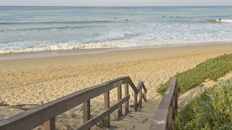 Modern Seaview Apartment