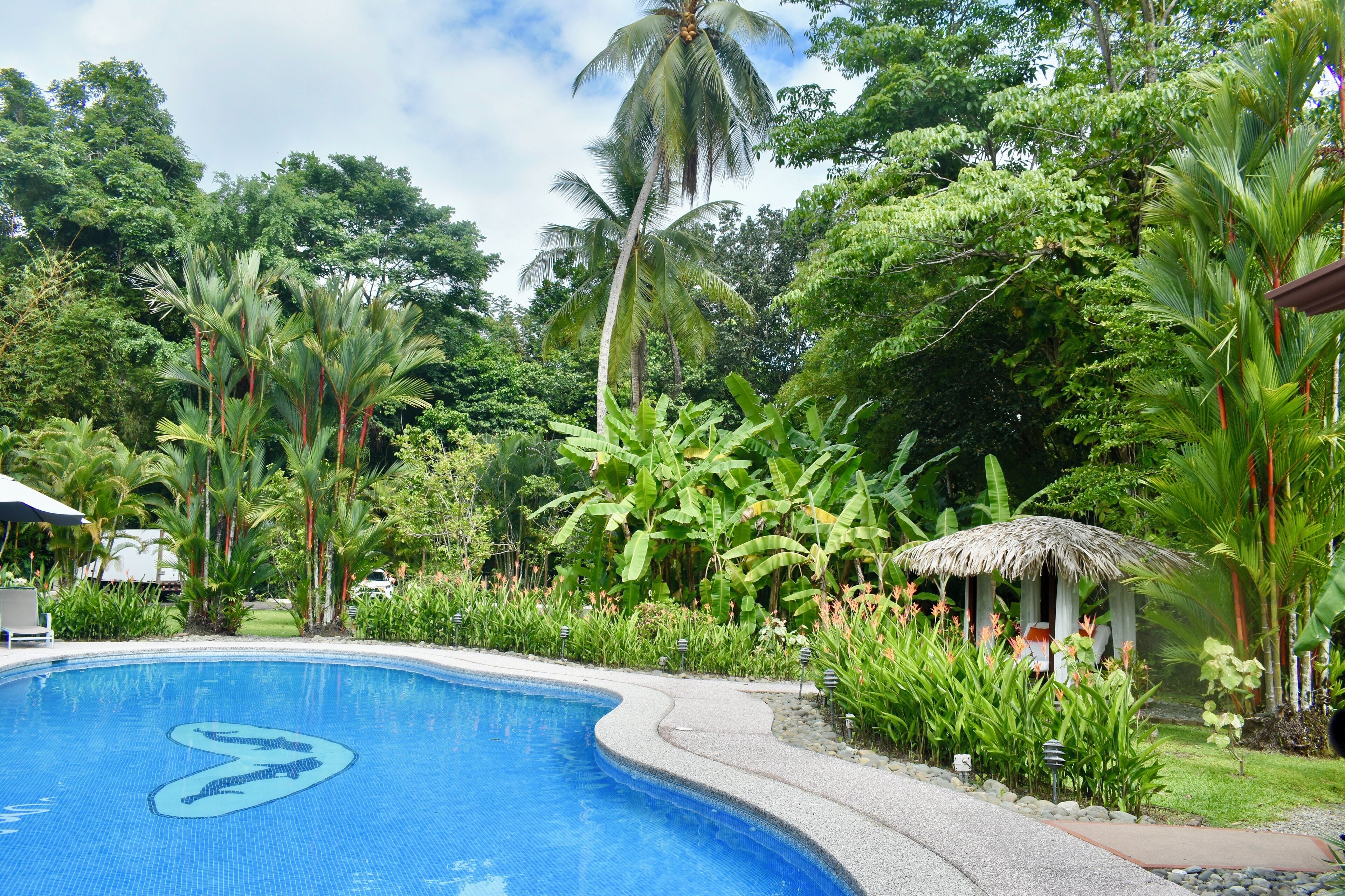 2 albercas al aire libre 