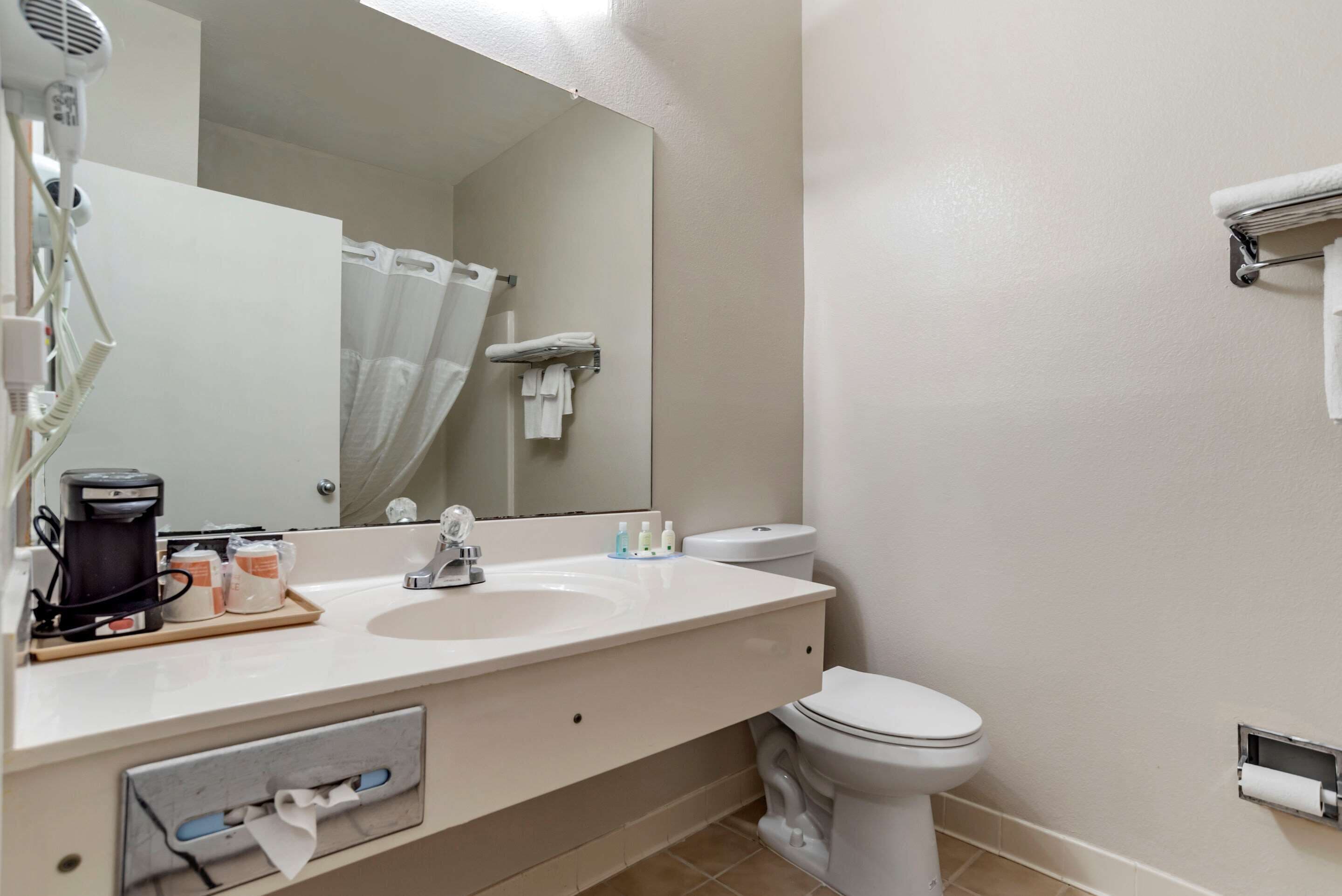 A bathroom with a sink, mirror, toilet, and shower curtain.