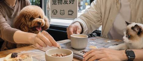 A person feeding a dog and a cat at a table with a sign indicating pet-friendly services.