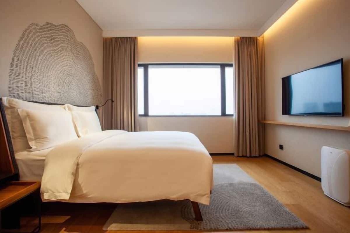 1 chambre, literie de qualité supérieure, couette en duvet d'oie