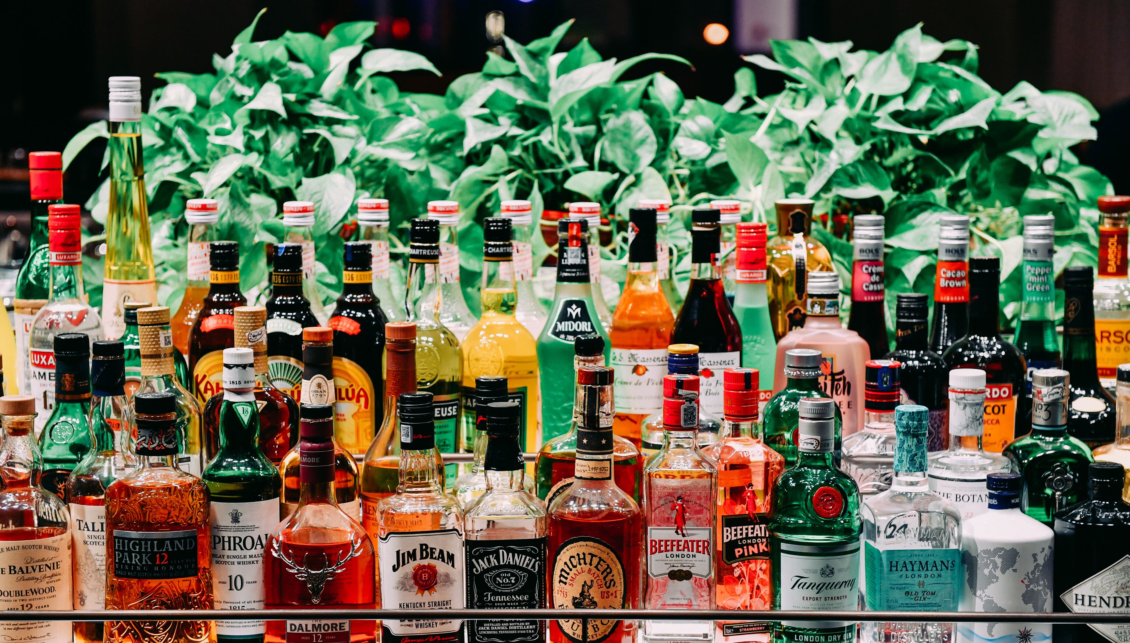 Diverse drankflessen op planken tentoongesteld.