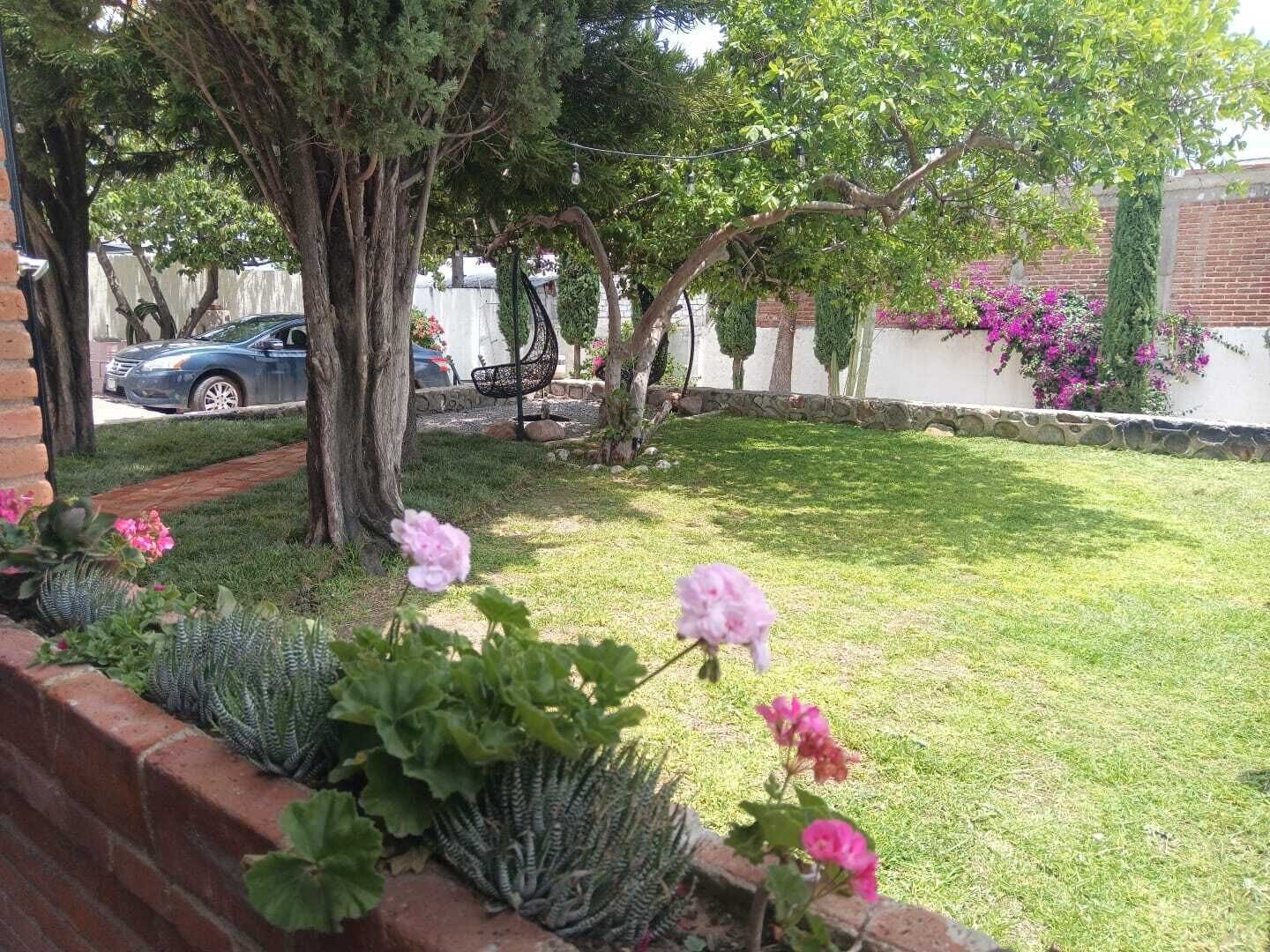 Foto - Casa Malva Sweet Stay