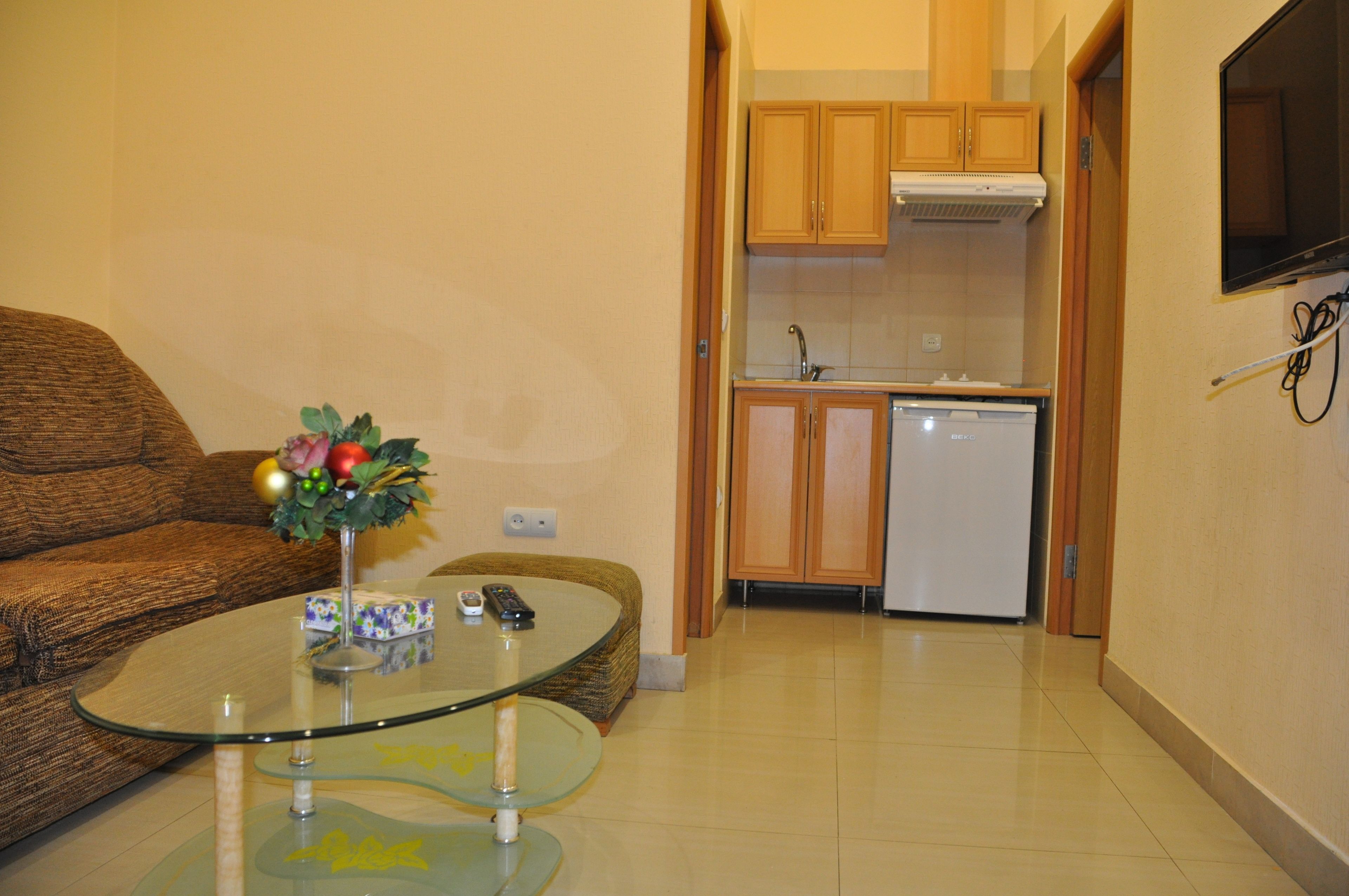 basic apartment | private kitchen | fridge, electric kettle